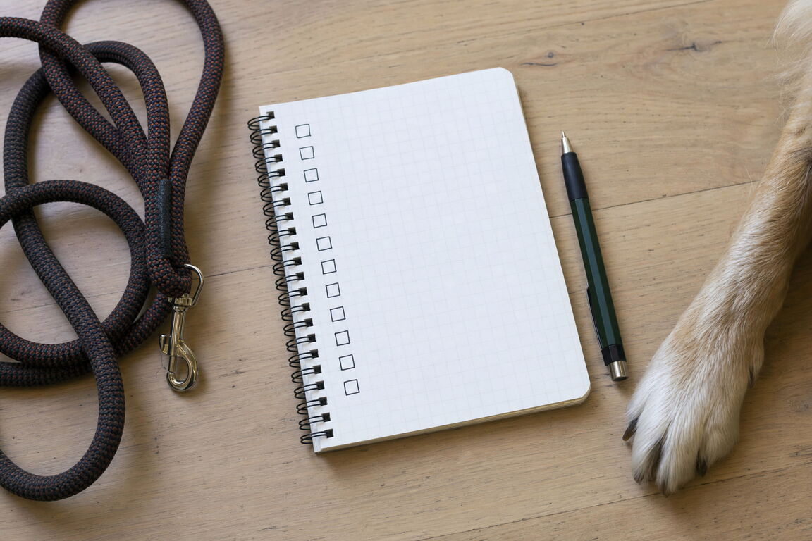 Un carnet deschis cu o listă de întrebări scrise de mână, lângă o lesă și o pungă cu recompense pentru câini.